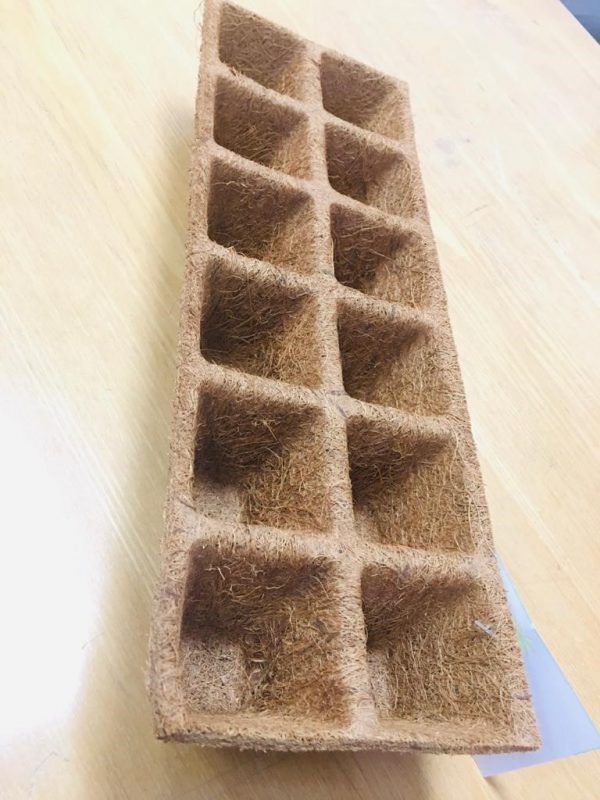 Moulded Trays - Image 3