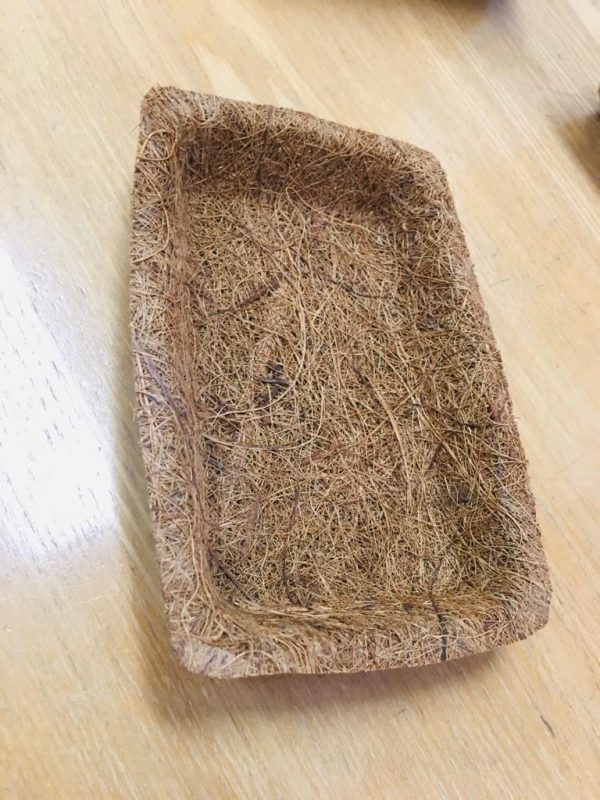 Moulded Trays - Image 4