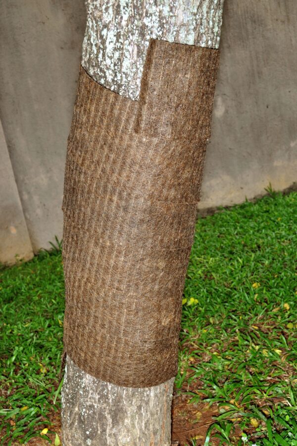Bark Guards - Image 2