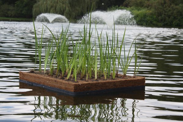 Floating Island - Image 5