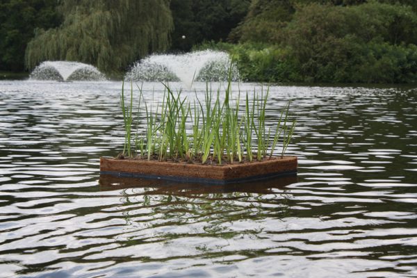 Floating Island - Image 6