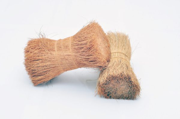 Bristle fibre - Image 2