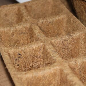 Seedling Trays