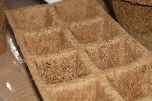 Seedling Trays