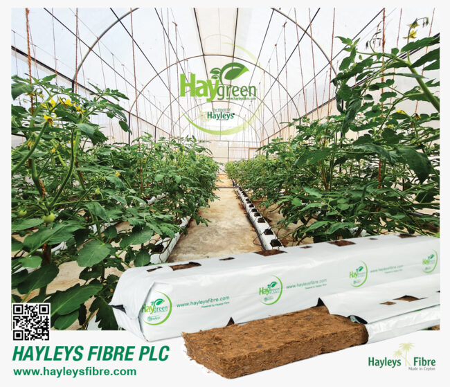 Fibre Update 7 Jun 22